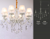 Ambrella Light TR4548
