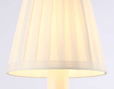 Ambrella Light TR4562