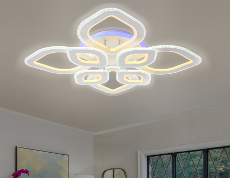 Ambrella Light FA8844