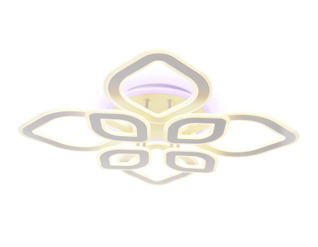 Ambrella Light FA8844