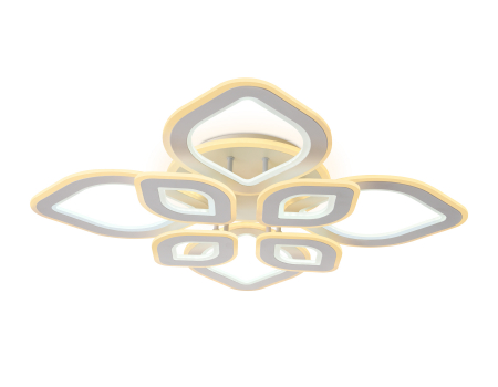 Ambrella Light FA8844