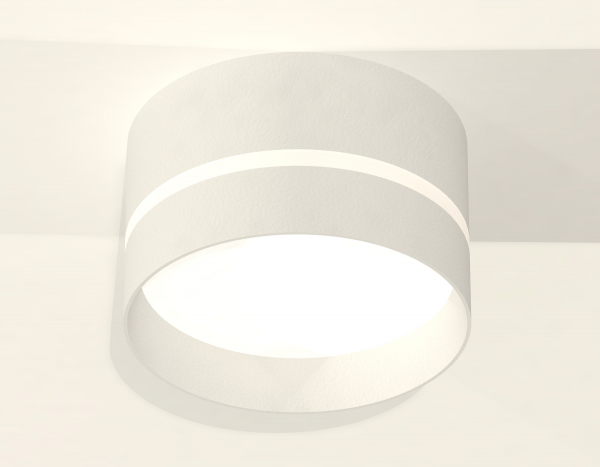 Потолочный светильник Ambrella Light Techno Spot XS8101020 (C8101, N8461)