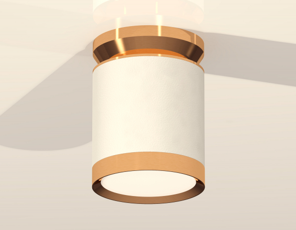 Потолочный светильник Ambrella Light Techno Spot XS8141030 (N8909, C8141, N8124)