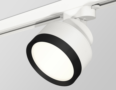 Ambrella Light XT8101002