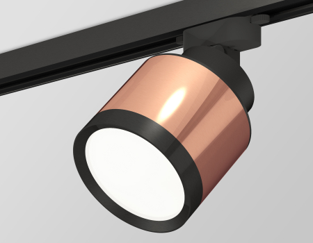 Ambrella Light XT8122001