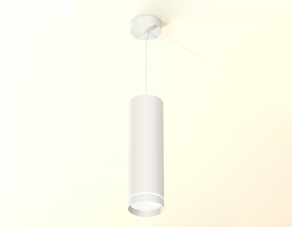 Подвесной светильник Ambrella Light Techno Spot XP8191003 (A2331, C8191, N8461)
