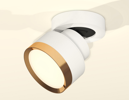 Ambrella Light XM8101004