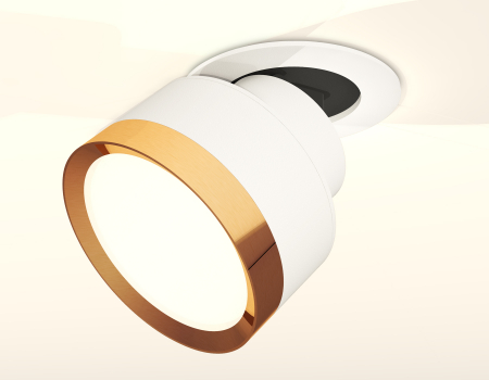 Ambrella Light XM8101503