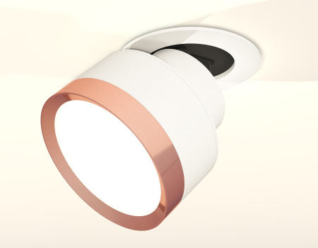 Ambrella Light XM8101504