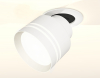 Ambrella Light XM8101526