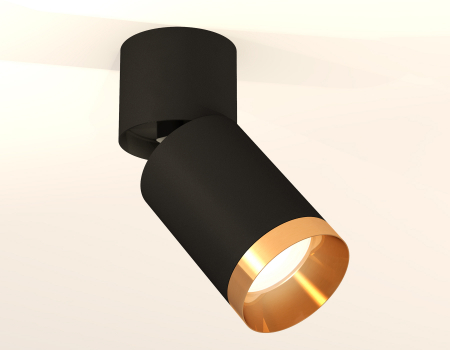 Ambrella Light XM6313044