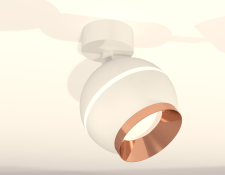 Ambrella Light XM1101005