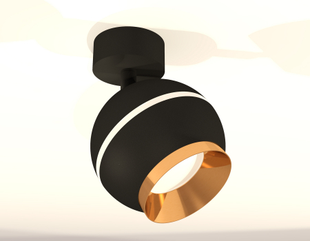 Ambrella Light XM1102004