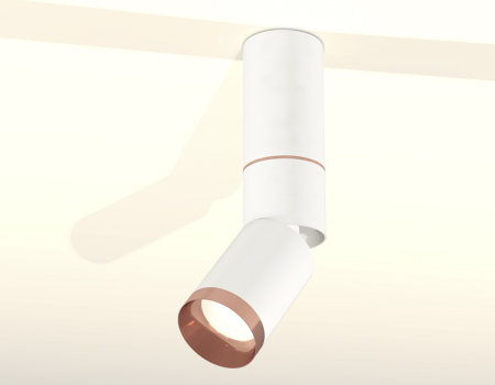 Ambrella Light XM6312145