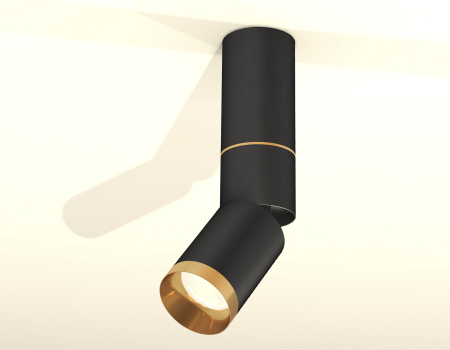 Ambrella Light XM6313130