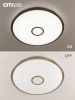 Citilux CL703A103G