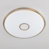 Citilux CL703A103G