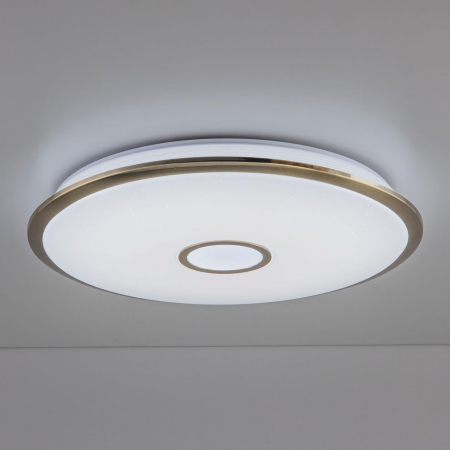 Citilux CL703A103G