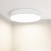 Arlight 034816