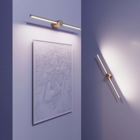 Arlight 036501