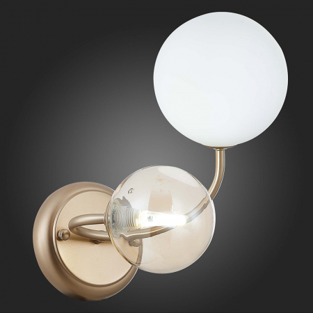 Evoluce SLE220921-02