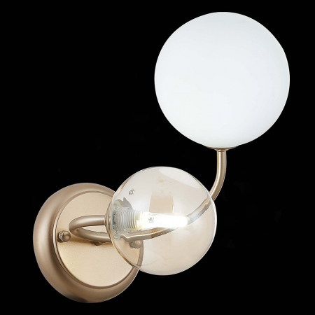 Evoluce SLE220921-02