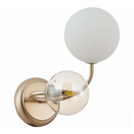 Evoluce SLE220921-02