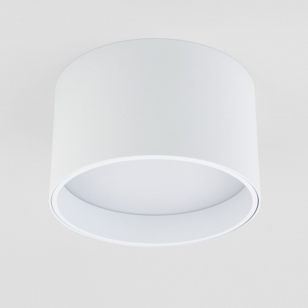 Elektrostandard 4690389183980