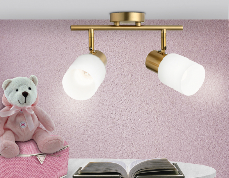 Ambrella Light TR3969