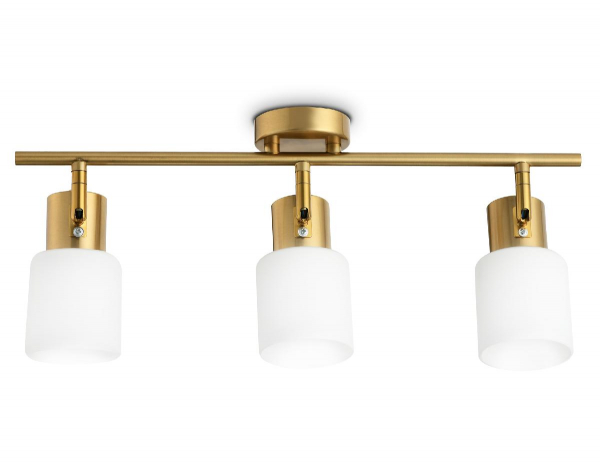 Спот Ambrella Light Traditional TR3972