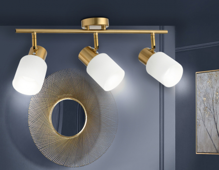 Ambrella Light TR3972