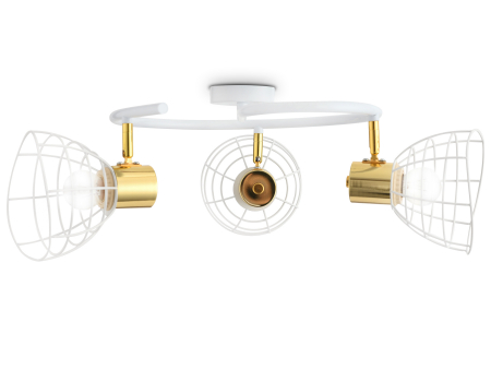 Ambrella Light TR8605