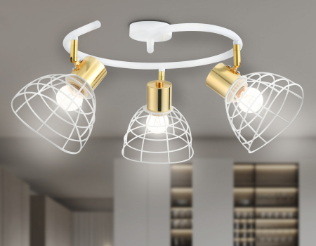 Ambrella Light TR8605