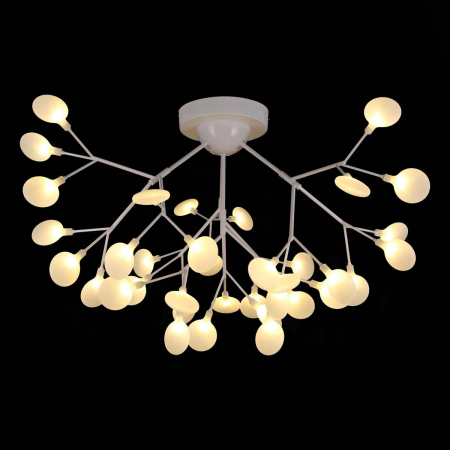 Evoluce SLE250102-36