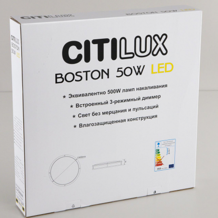 Citilux CL709501N
