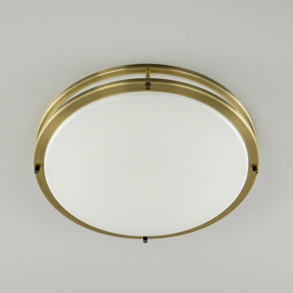 Настенно-потолочный светильник Citilux Бостон CL709503N