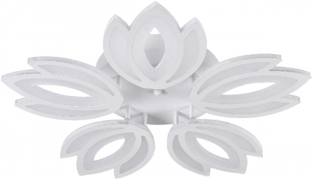 Natali Kovaltseva LED LAMPS 81124