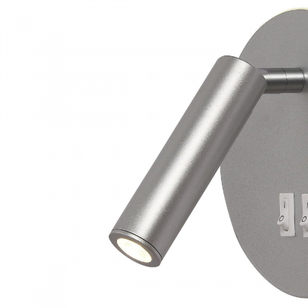 Natali Kovaltseva LED LAMPS 81101/1C SILVER