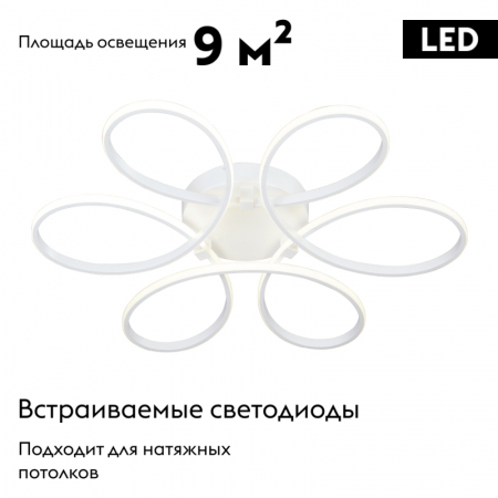 Vitaluce V04610-03/6PL