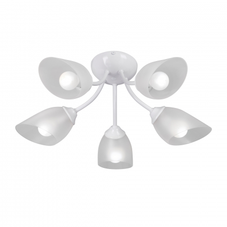 Vitaluce V3405-0/5PL