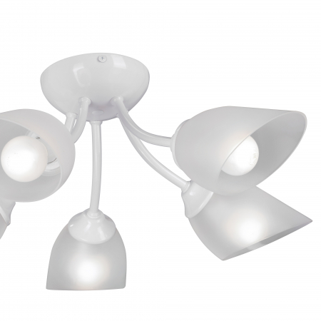 Vitaluce V3405-0/5PL