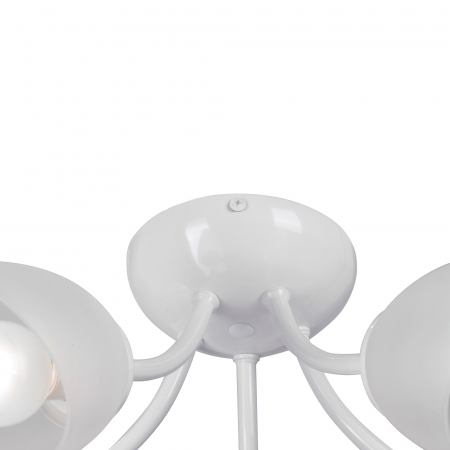 Vitaluce V3405-0/5PL