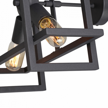 Vitaluce V3981-1/4PL