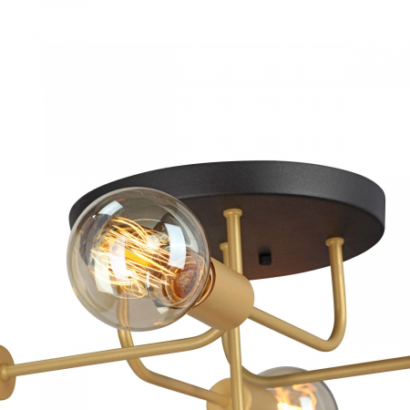 Vitaluce V3998-8/5PL