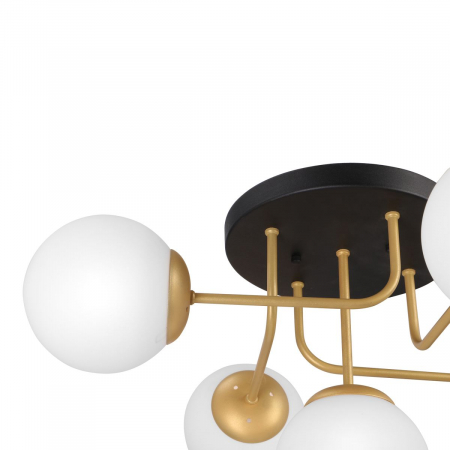 Vitaluce V3999-8/5PL