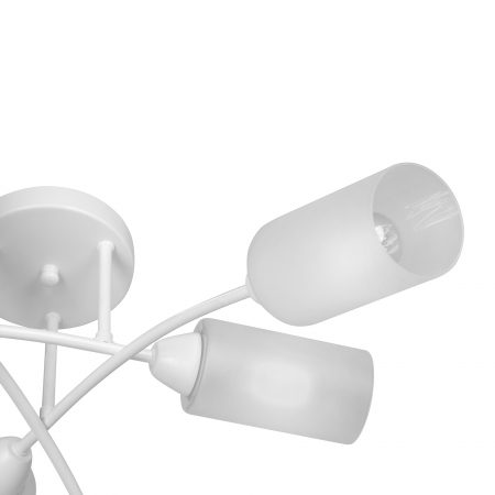 Vitaluce V4188-0/6PL