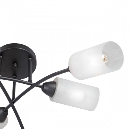 Vitaluce V4188-1/6PL