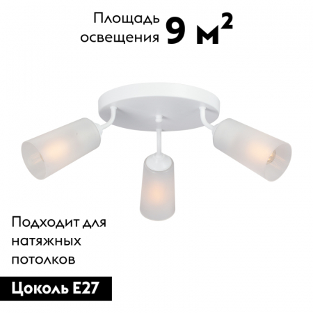 Vitaluce V4273-0/3PL