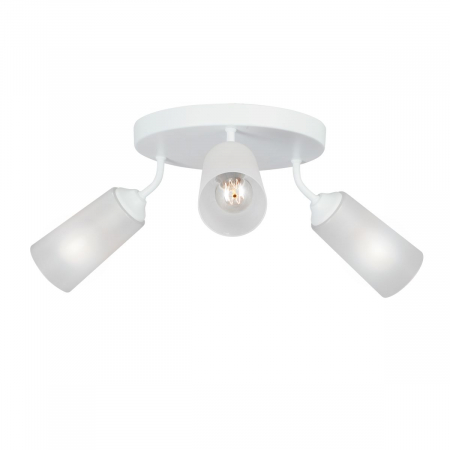 Vitaluce V4273-0/3PL