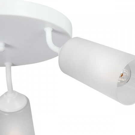 Vitaluce V4273-0/3PL